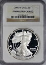 yɔi/iۏ؏tz AeB[NRC _RC [] 2006 WAJVo[C[ONGC PR69EgJI - ͓IŖ薳 2006 W American Silver Eagle NGC PR69 Ultra Cameo - Attractive and Problem Free