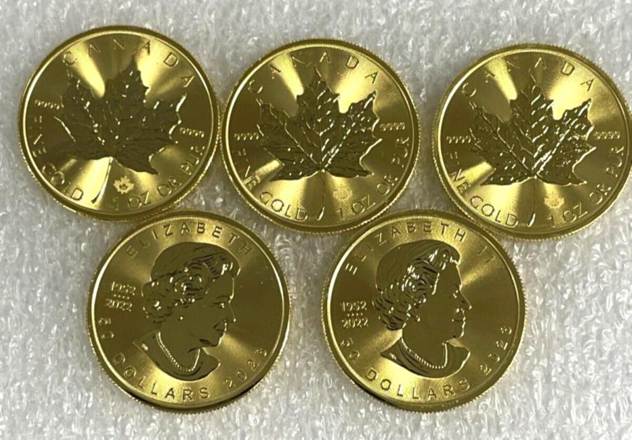 52023᡼ץ1󥹥ʥɥ᡼ץ꡼$ 50 .9999ե󥳥 Lot of 5 Gold 20...
