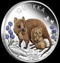 yɔi/iۏ؏tz AeB[NRC _RC [] 2022 Australia Quokka 1oz .9999 Silver Proof Colored Coin 2022 Australia Quokka 1oz .9999 Silver Proof Colored Coin