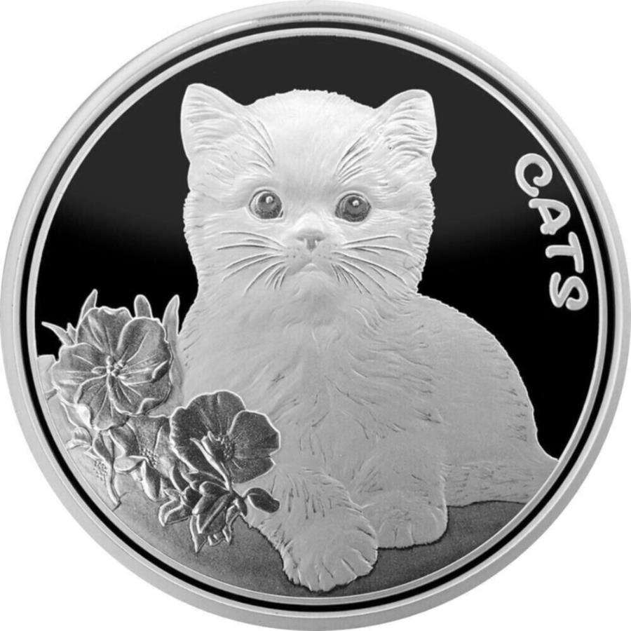 yɔi/iۏ؏tz AeB[NRC _RC [] 2022tBW[L-2ڂ̃[X1IX.999Vo[BURCv[t 2022 Fiji Cats - 2nd Release 1 oz .999 Silver BU Coin Proof Like