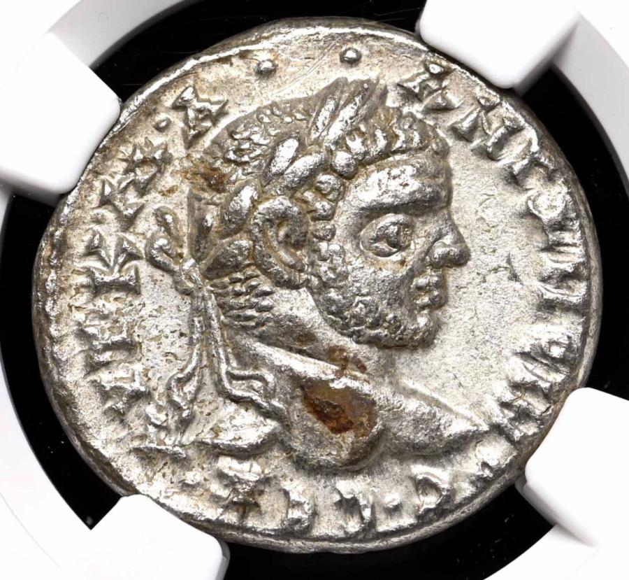 ڶ/ʼݾڽա ƥ 󥳥 [̵] 饪ǥ饫顣198-217Сƥȥɥåࡢ롢NGC AU LAODICIA. Caracalla. AD 198-217. Silver Tetradrachm, Eagle, NGC AU