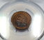 ڶ/ʼݾڽա ƥ 󥳥 [̵] 1907 PCGS MS62 BN BROWN |ǥإåɥȥڥˡ-1C US40045A 1907 PCGS MS62 BN BROWN | Indian Head Cent Penny - 1c US Coin #40045A