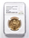 MS70 2015-W $ 100 American Liberty Series High Relief 1 Oz Gold NGC *7246 MS70 2015-W $100 American Liberty Series High Relief 1 Oz Gold NGC *7246(3)