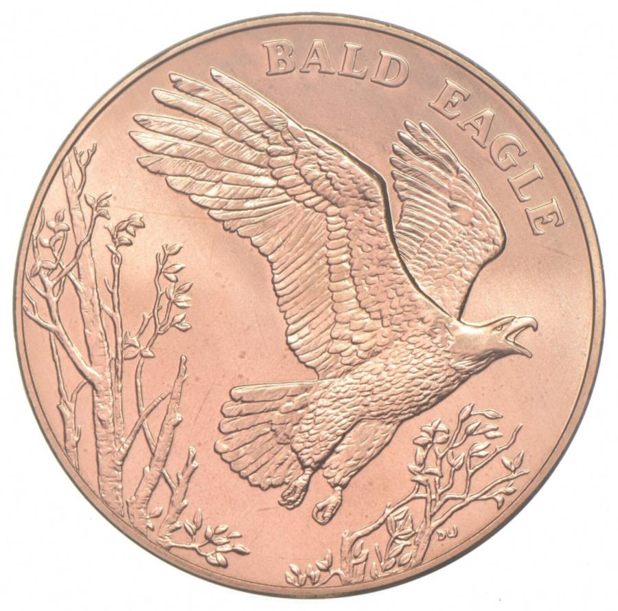  アンティークコイン モダンコイン  US Mint 2003 Bald Eagle National Wildlife Bronze Medal Uncirculated 38.1mm US MINT 2003 BALD EAGLE NATIONAL WILDLIFE BRONZE MEDAL Uncirculated 38.1mm