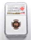  アンティークコイン モダンコイン  PF70 RD UCAM 1994カナダ1セントメープルリーフNGC *2814 PF70 RD UCAM 1994 Canada 1 Cent Maple Leaf NGC *2814