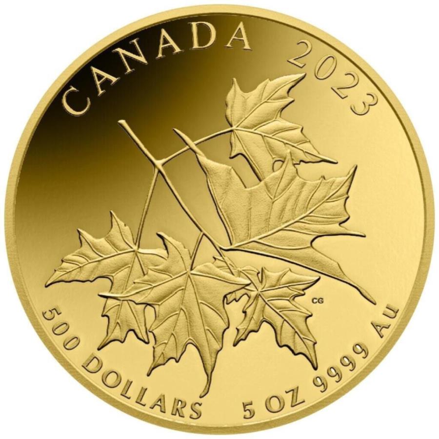 ڶ/ʼݾڽա ƥ 󥳥 [̵] ǰΥ᡼ץ2023-ʥ - -5ppɥ - Beloved Maple Leaves 2023 - Canada - In Case - 5oz PP Gold Coin-