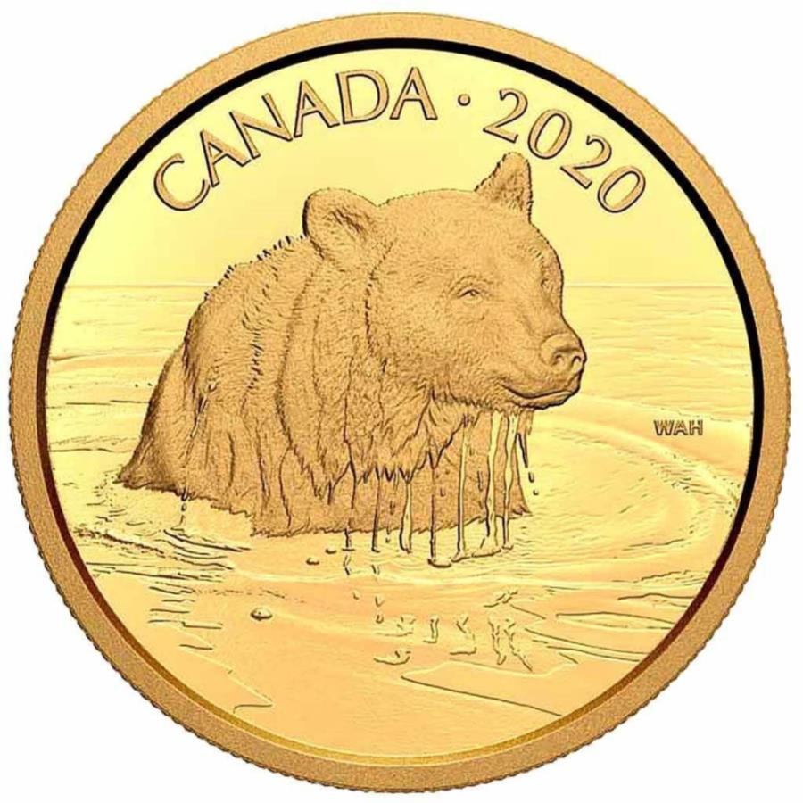ɥ󥰥ꥺ꡼٥磻ɥ饤եݡȥ졼ȡ2nd2020-ʥ - -35 GR PP- Gold Coin Gri...