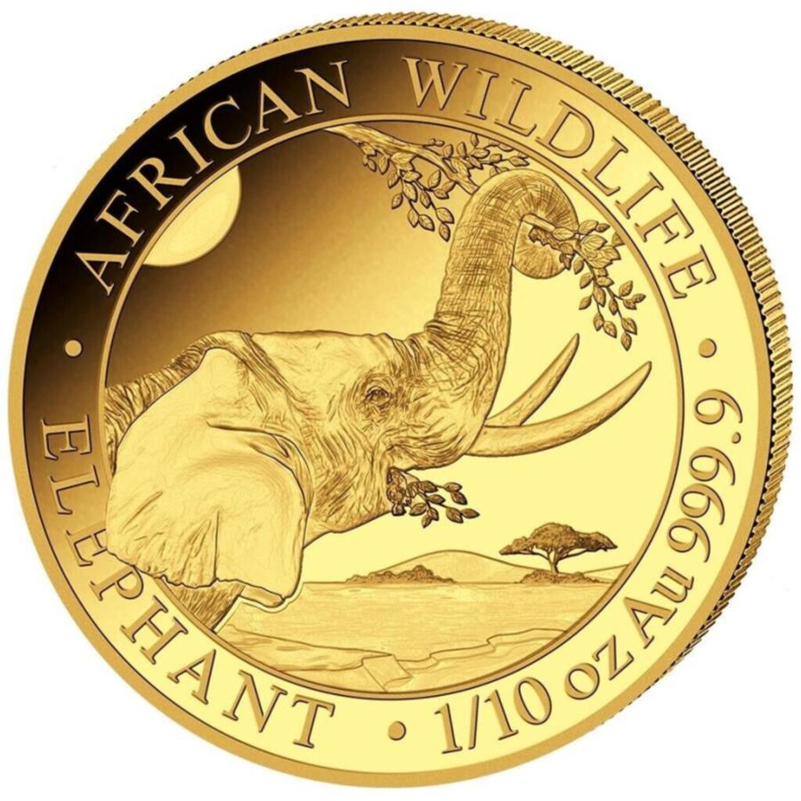 yɔi/iۏ؏tz AeB[NRC _RC [] ۃAtJ쐶2023-\}A - RC-1/10IXst- Elephant African Wildlife 2023 - Somalia - Investment Coin - 1/10oz ST-