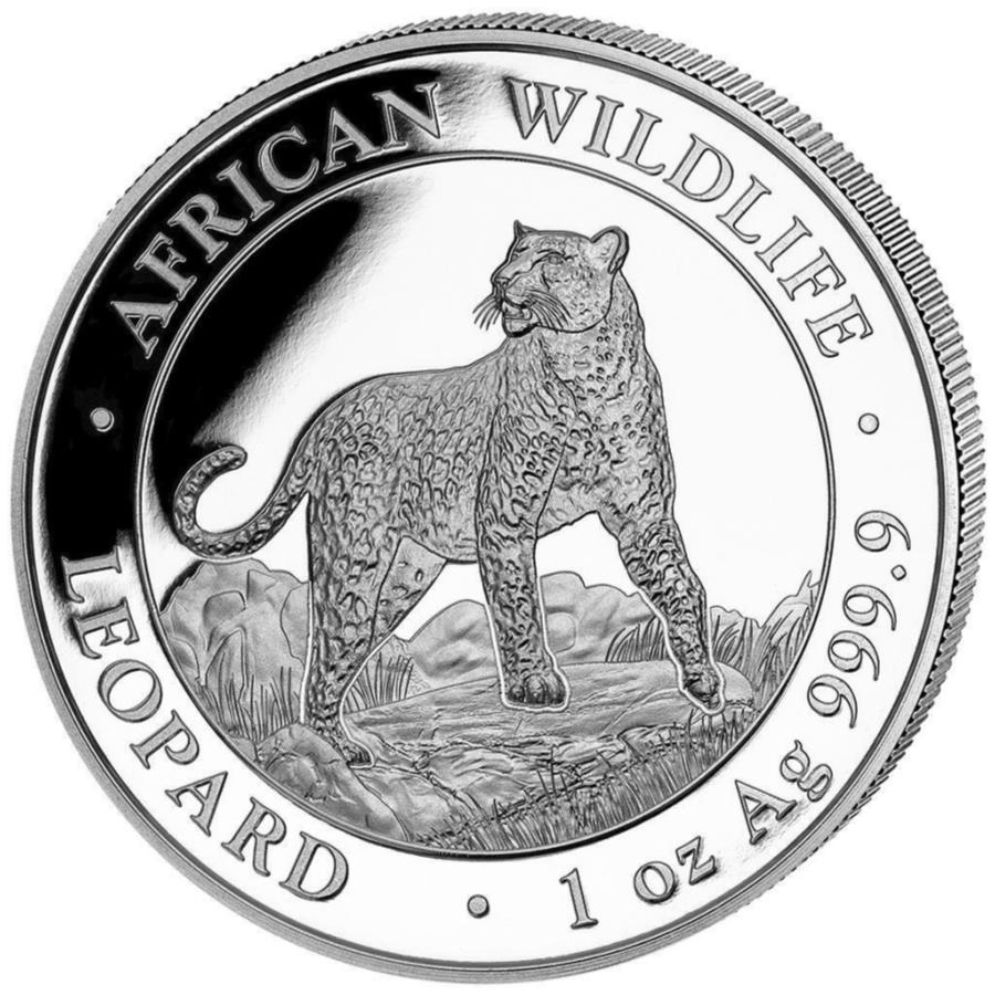 yɔi/iۏ؏tz AeB[NRC _RC [] 2022qEAtJ̖쐶 - \}A-1IXZgVo[RC - 2022 Leopard African Wildlife - Somalia - 1oz ST Silver Coin-