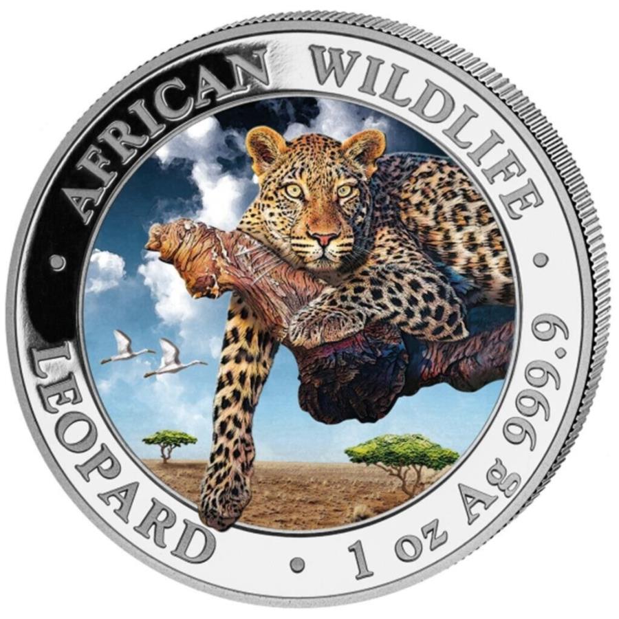 yɔi/iۏ؏tz AeB[NRC _RC [] 2020qEAtJ̖쐶 - \}A - F1IXZgVo[RC - 2020 Leopard African Wildlife - Somalia - 1oz ST Silver Coin in Color-