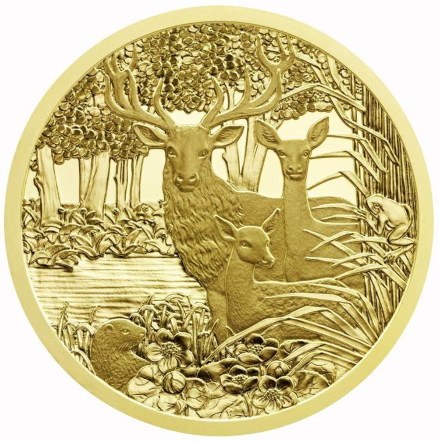 ⥳åɥǥưʪ1.2013-ȥꥢ - -16.23 gr pp- Gold Coin The Red Dee...