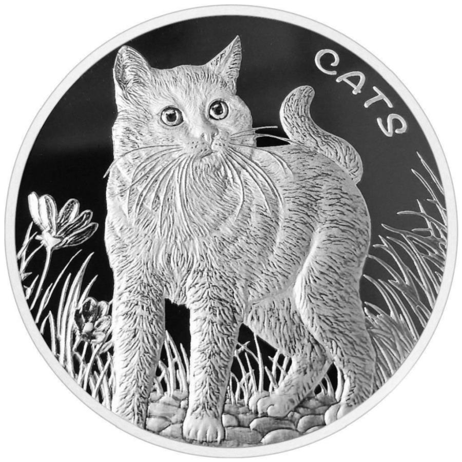 楽天市場】猫 銀貨の通販 楽天市場】猫 銀貨の通販
