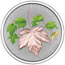 カナダ2017 300 $メープルリーフ永遠に1オンス純粋なプラチナコイン Canada 2017 300$ Maple Leaf Forever 1 oz P...