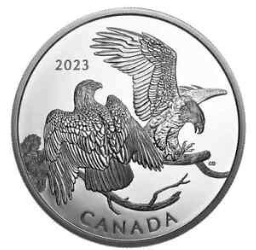 yɔi/iۏ؏tz AeB[NRC _RC [] 2023Ji_$ 30ۓIȔC[O2IX.9999sAVo[v[tRC 2023 CANADA $30 THE STRIKING BALD EAGLE 2oz .9999 Pure Silver Proof Coin