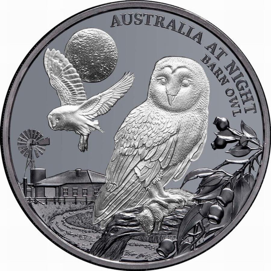 yɔi/iۏ؏tz AeB[NRC _RC [] niue 2022[I[XgAAbgiCgt[$ 1 1IXȃVo[ubN Niue 2022 BARN OWL Australia At Night Full Moon $1 1 Oz Pure Silver Black in OGP