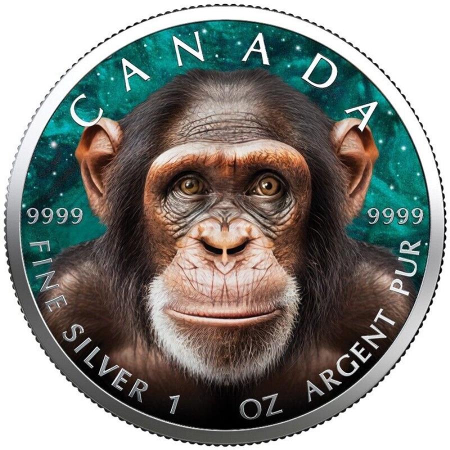 2023ʥѥ󥸡󥭡顼1󥹥С - 顼ǥ - 2023 Canada Chimpanzee M...