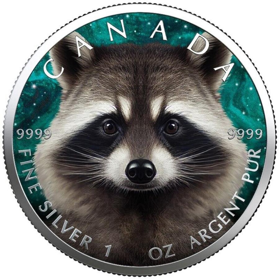 2023ʥ饯1󥹿Υ - 顼ǥ - 2023 Canada Raccoon 1oz Color Coin ...