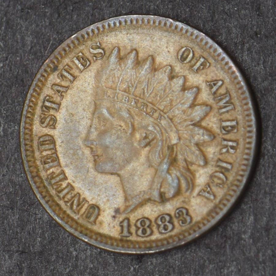 1883年インディアンヘッドセント - 共存者 - 1883 Indian Head Cent - COINGIANTS -