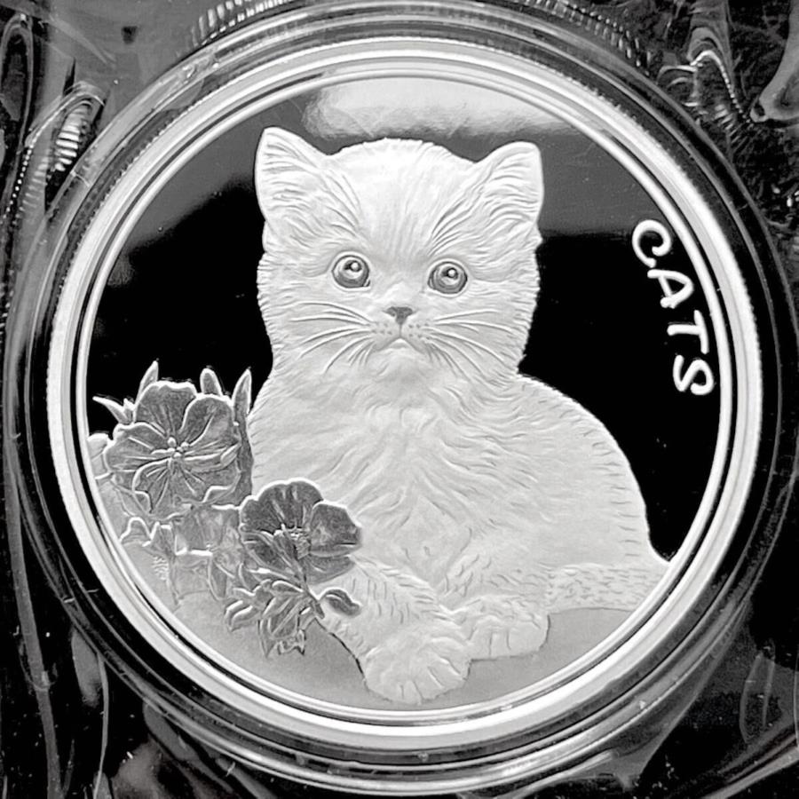 yɔi/iۏ؏tz AeB[NRC _RC [] 2022tBW[L1IX.999Vo[$ 0.50RCWFbuqL2ԖڂɃV[Y 2022 Fiji Cats 1 oz .999 Silver $0.50 Coin GEM BU Beautiful Kitten 2nd in Series