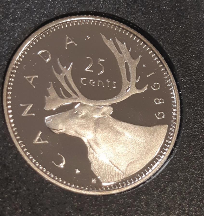 yɔi/iۏ؏tz AeB[NRC _RC [] 1989Ji_NVbNJu[fUCv[tdグZbg25Zg - jbP 1989 Canada Classic Caribou design proof finish 25 cent from set - nickel