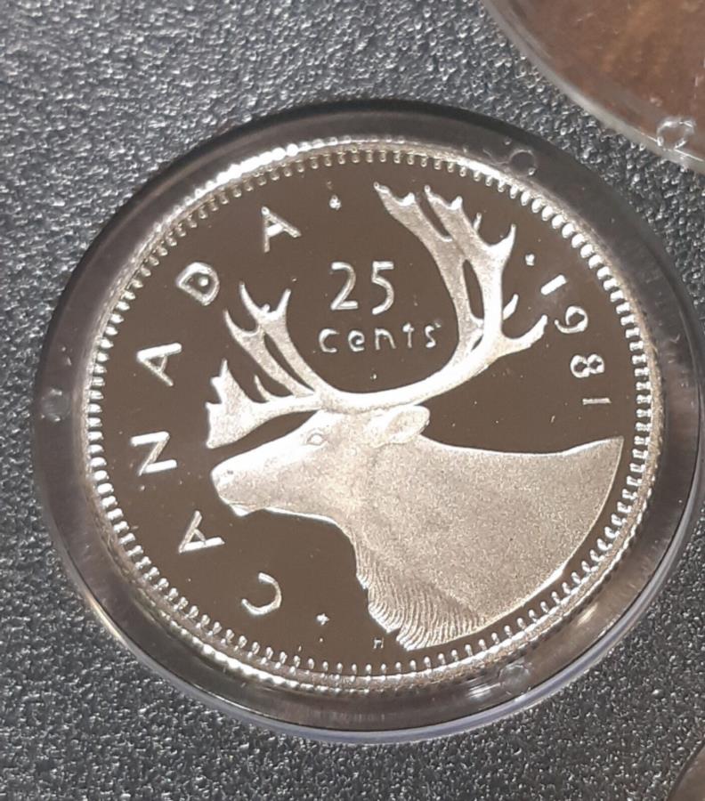 ڶ/ʼݾڽա ƥ 󥳥 [̵] 1981ʥ饷å֡ǥץ롼ջž夲åȤ25-Nickel 1981 Canada Classic Caribou design proof finish 25 cent from set - nickel