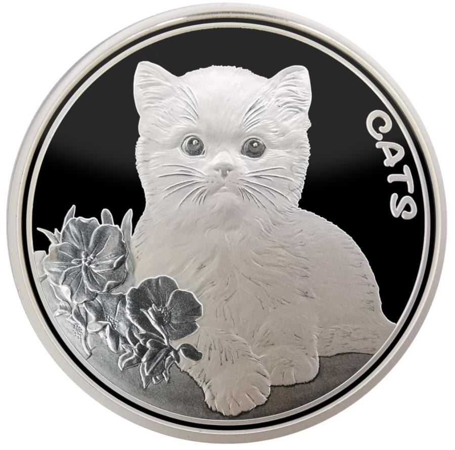 楽天市場】猫 銀貨の通販
