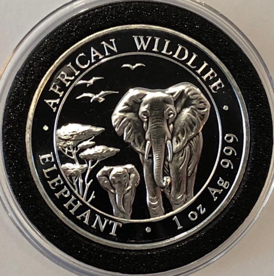yɔi/iۏ؏tz AeB[NRC _RC [] 2015AtJۖ쐶\}AaRC1gCIY.999t@CVo[ 2015 African Elephant Wildlife Somali Republic Coin 1 Troy Oz .999 Fine Silver