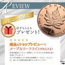 スーザン・B・アンソニー・ダラーセット 1979 1980