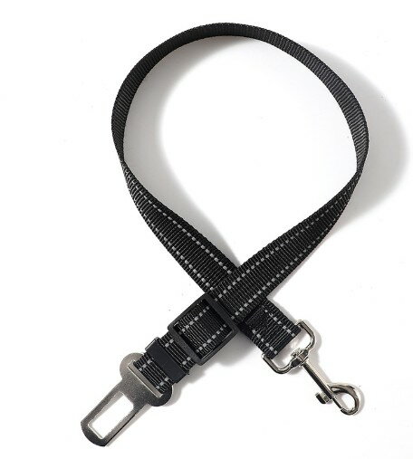 ワンちゃん車ベルトステッチ入り