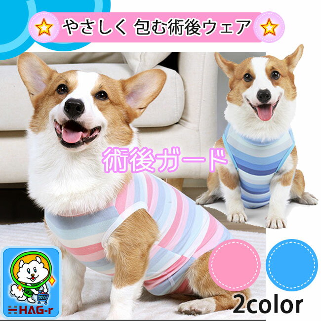 9日までポイント3倍/ 術後服 舐めない 犬 エリザベスカラー ストライプ 猫 虹色 安心ガード ストライプ 可愛い 背中開き 去勢 ペット 避妊 手術後 小型犬 中型犬 かわいい 介護服 ペット用 ボーダー ペット服 男の子 女の子 子ども ペット用術後服