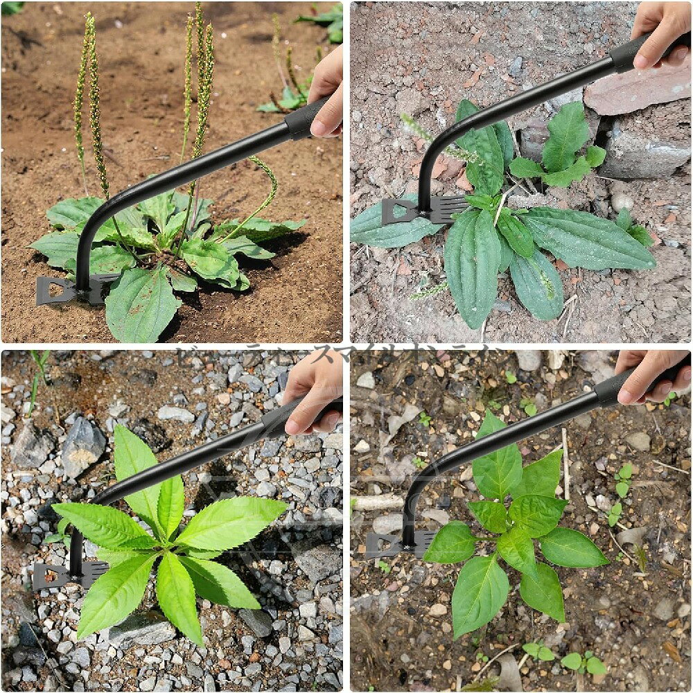 雑草抜き 除草 苔除去 芝生エッジャー 兼用 3点セット ステンレス製 多機能 軽量 ...