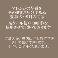 クール便