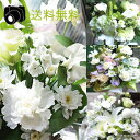 花 お供え お悔やみ 花 フラワー あす楽 お供え 花 ペット 画像配信 お盆 お花 ペット 洋花 アレンジメント 花 お悔やみ ユリ 【送料無料】 法事 一周...