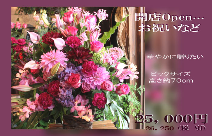 花 開店祝い 送料無料 開院祝い フラワー 生花 アレンジメント 開店 オープン ”vivre25”お祝い花 店長オススメ花 ギフト 誕生日 あす楽 開業 祝い 婚約祝い 長寿祝い 蘭 楽屋花 胡蝶蘭 プレゼント 入学祝い