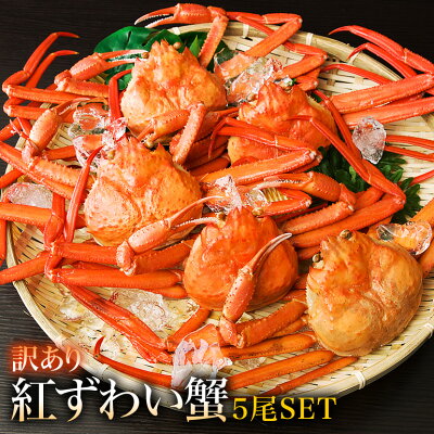鳥取県産紅ずわい蟹