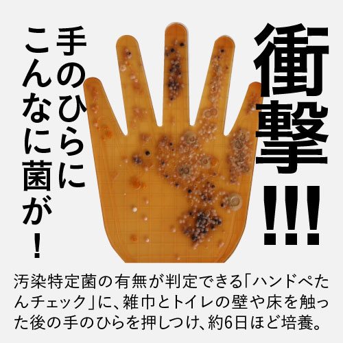 アルコール ジェル ハンドジェル アルコール消毒液 濃度 64.5％ 携帯用 持ち運び 日本製ジアニスト ハンドジェル 75mL 3個天然発酵由来アルコール 手指や皮膚の洗浄消毒 除菌 ウイルス対策 速乾性【クリニック採用 指定医薬部外品】