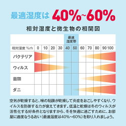 【空間除菌消臭】強力な除菌・消臭力を持つ次亜塩素酸次亜塩素酸高濃度500ppmジアニストパーフェクトセット20L除菌消臭次亜塩素酸水次亜塩素次亜水除菌/消臭/スプレー噴霧器市販効果加湿器/対応【イチオシ】