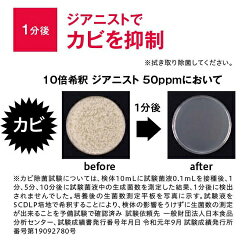 クロカワカビにてカビ殺菌試験を実施