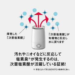 80倍の除菌力
