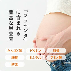 【メール便】JBPマークプラセンタサプリMDポーサイン100【お試し5日分】【サプリメント/placenta/美容サプリメント/プラセンタサプリ/馬プラセンタ/健康/食品/カプセル/プラセンタサプリメント/ラエンネック】