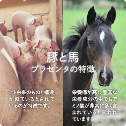 【メール便】JBPマークプラセンタサプリMDポーサイン100【お試し5日分】【サプリメント/placenta/美容サプリメント/プラセンタサプリ/馬プラセンタ/健康/食品/カプセル/プラセンタサプリメント/ラエンネック】