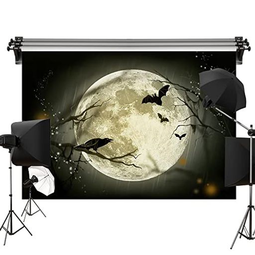 KATE 2.2X1.5M 背景布 ハロウィン 满月 コウモリ フクロウ 写真 背景 ビデオ撮影 撮影用 道具 カスタマイズ可能な背景