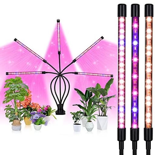 HOOHA A琬Cg LED ACg 5wbh ͔|v ϗtA琬Cg 50W 100LEDv 莞@\ (3H / 6H / 12H) 5iK 360\ 3̏Ɩp^[ k͔|v  ȃGl