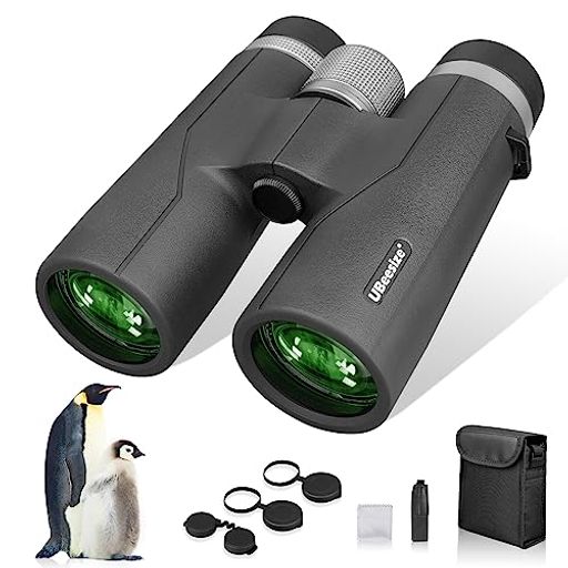 UBEESIZE д 10 42X12 HDΨ 󥵡 42MM¡ڻθؤΤ۷ ɿ BAK4 FMC¿...