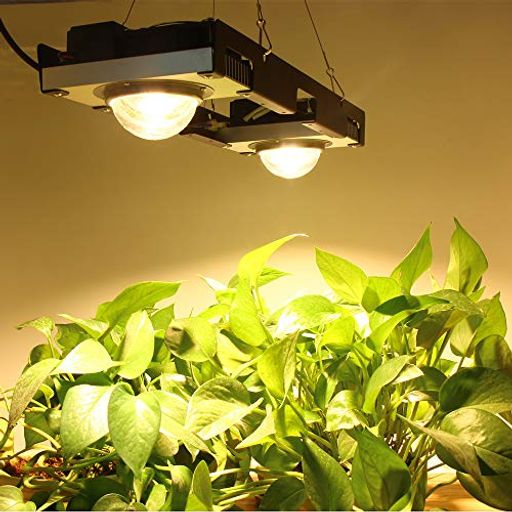 植物育成ライト CREE CXB3590 COB LED を育てますライトフルスペクトル200W LEDの植物は屋内テントの水耕植物のためのランプ5000Kを育てます 植物ライト フルスペクトル 日照不足解消 家庭菜園 野菜工場 多肉植物育成 観葉植物