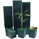 RooTrimmer育苗ポット8cm100個入り正方形苗ポット、植木鉢プラスチック多肉植物鉢、プラ鉢種蒔きポット、育苗用ポリポットダークグリーン