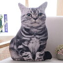 SIRONOA 抱き枕 猫 わいい ぬいぐるみ リアル 動物 癒し もちもち ふわふわ 多機能 まくら 背当て 添い寝枕 昼寝 クッション 枕パッド 3D 立体 プリント 子供 彼女 誕生日 プレゼントお祝い 装飾品 30CM(3)