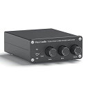 FosiAudioTB10A2チャンネルアンプ100Wx2パワーアンプステレオオーディオアンプレシーバーTPA3116ミニHi-FiクラスD内蔵アンプ2.0CH...