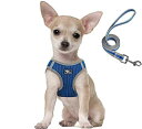 SUNGROO胴輪 犬 リード付き 抜けない 中型犬 メッシュ 通気 小型犬 猫ハーネス リードセット 引っ張り防止 調整可能 反射素材 かわいい (XS ブル...