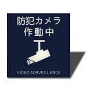 SEAGRON防犯カメラ作動中マグネットサインプレート2MMアクリル製おしゃれ(100x100MM防犯カメラ作動中ーブルー)...